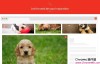 Shutterstock Reveal：以图搜图快速查找下载无版权高清图片