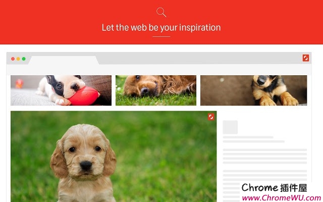 Shutterstock Reveal：以图搜图快速查找下载无版权高清图片