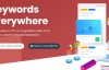 Keywords Everywhere-免费的 SEO 关键词研究工具