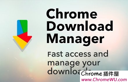 Online Download Manager：分类管理你下载的文件